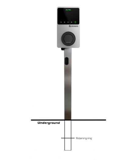 SEVADIS SQUARE ROOTED
