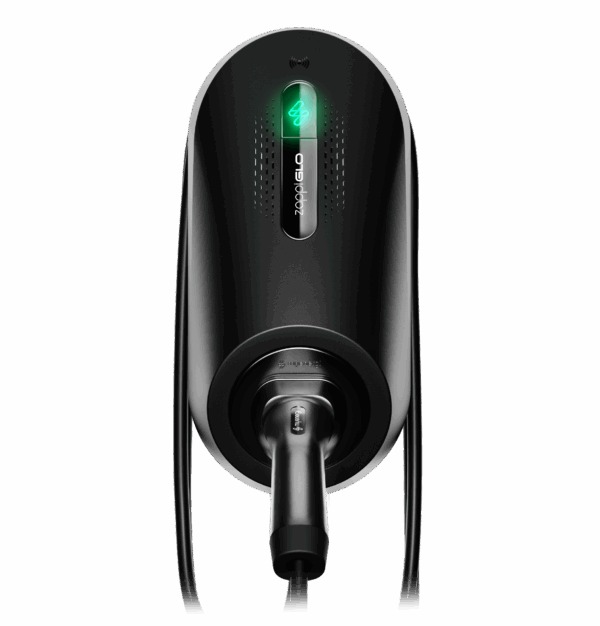 New Zappiglo Chargers