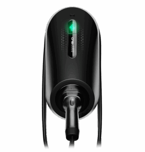 New Zappiglo Chargers