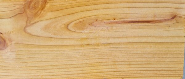 Larch Sample Larch sample