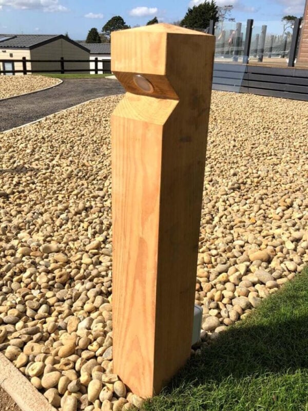 Single Larch Single larch