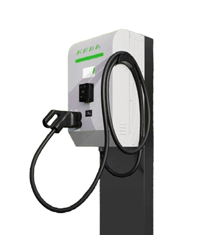 Image removebg preview (8)